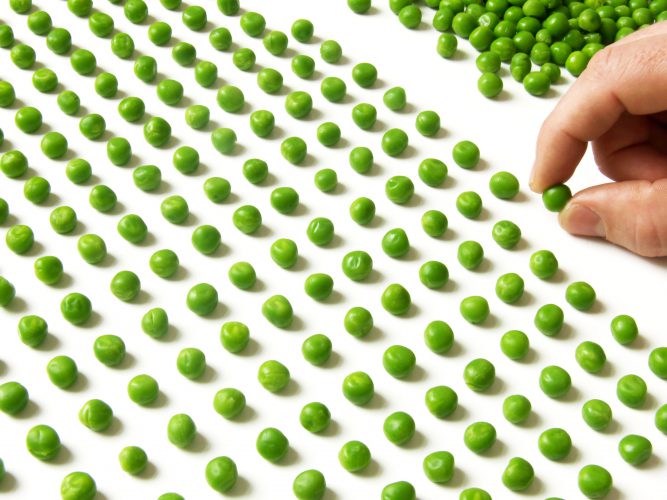 a lot of peas